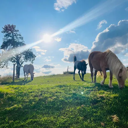 Auszeit Altenhorst, Gartenferienwohnung Appartamento